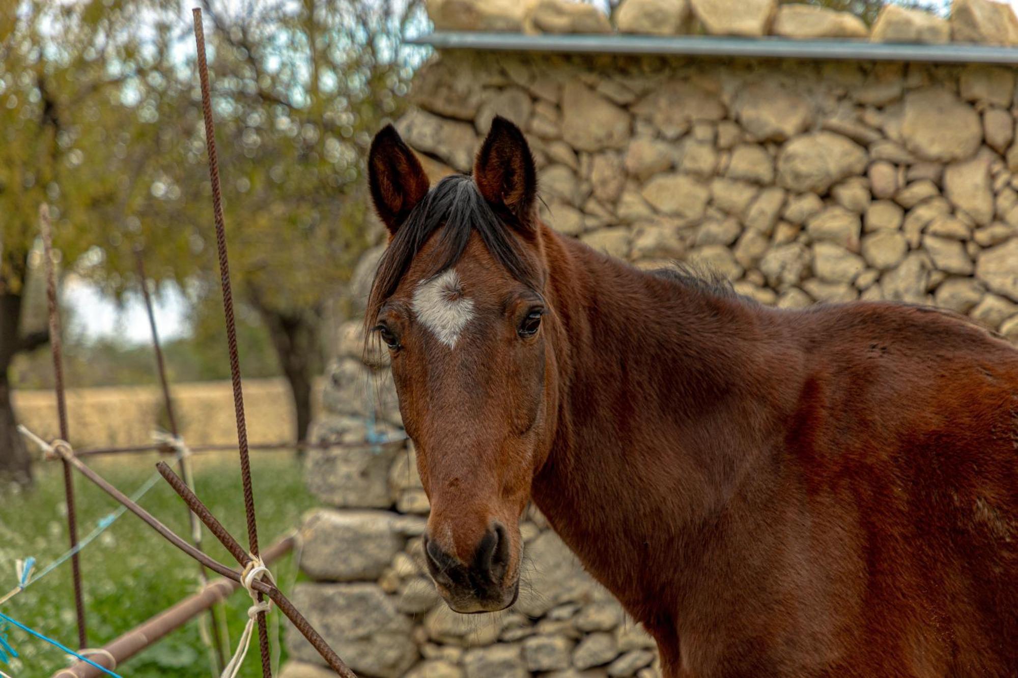 Masseria Usamborgia Noto Bagian luar foto