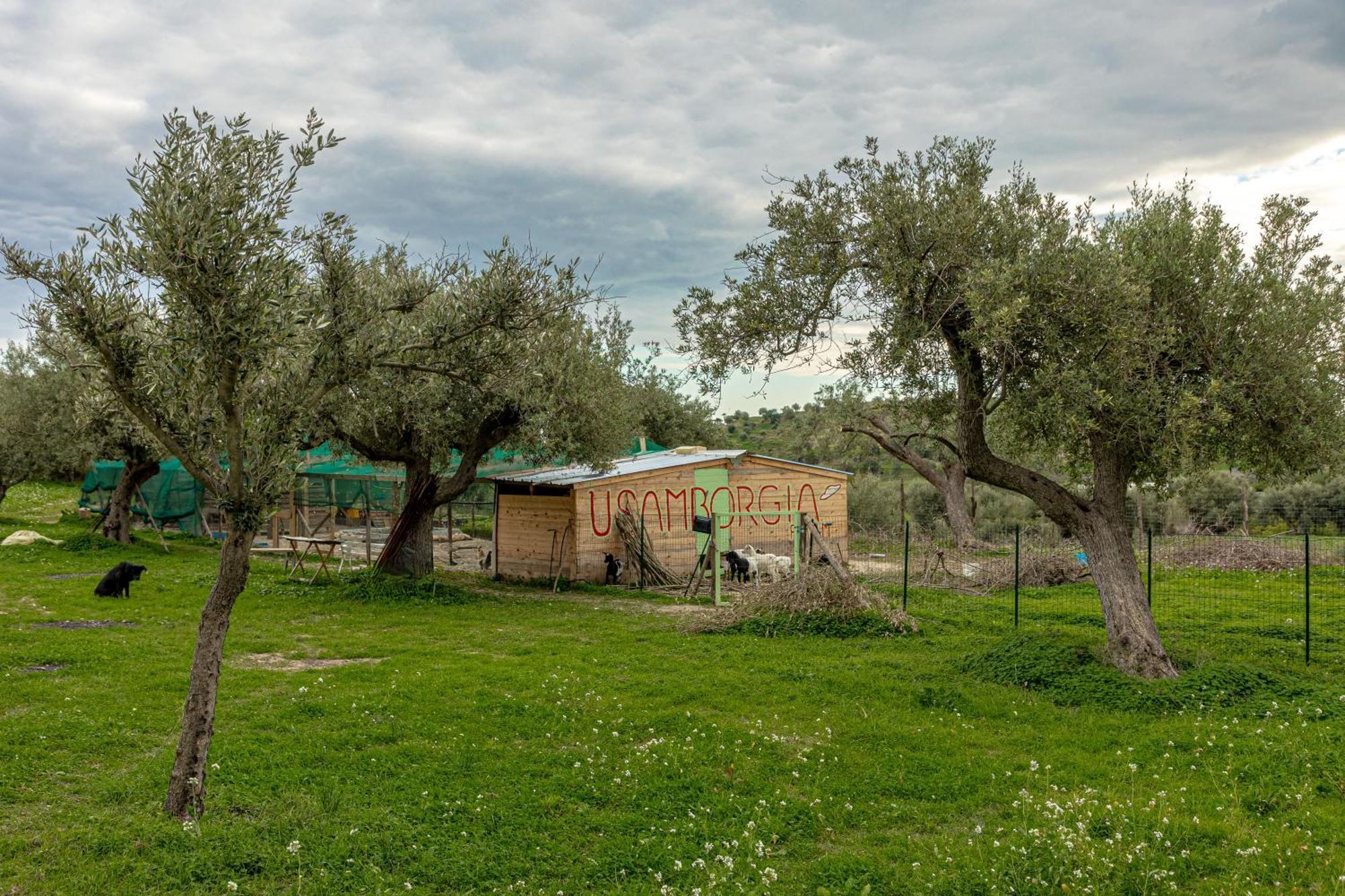 Masseria Usamborgia Noto Bagian luar foto