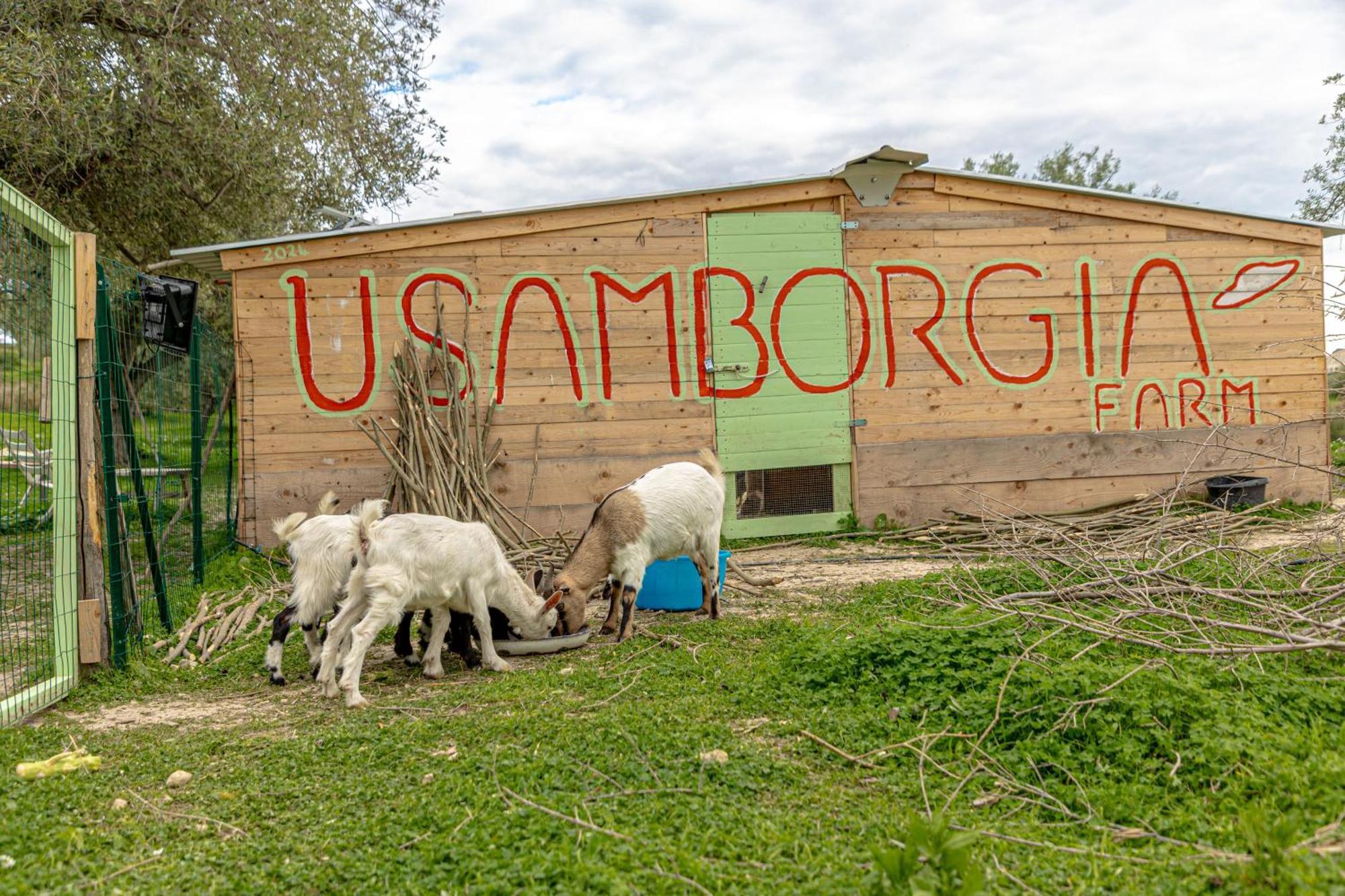 Masseria Usamborgia Noto Bagian luar foto